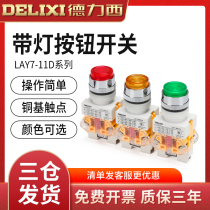 Dresy control button switch LAY7-11D with lamp Y090 LAY37PBC self-reset 22MM