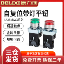Dresy metal with lamp self-reset button LAY5-BW3462 LAY5-BW3561 LAY5S-BW3361 LAY5S-BW3361