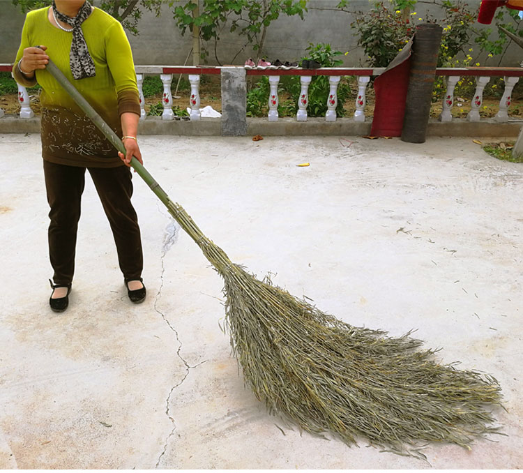 大扫帚竹子庭院扫地笤帚扫院子扫马路户外环卫竹扫把车间学校笤帚