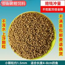 Not muddy water turtle Brazilian turtle fry ornamental fish grain feed fairy fish turtle grain fish feed freshwater fish floating water carp