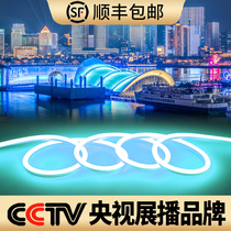 led ice blue neon strip outdoor waterproof roof profile color light 220v engineering decorative lighting soft light strip