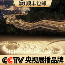 Warm light strip Outdoor corridor stair linear light Waterproof warm color PVC handrail light High bright energy-saving LED light strip