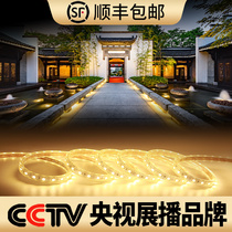 Yellow light strip outdoor waterproof fish tank light LED light strip Yellow outdoor garden corridor fish pond decorative light strip