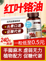 Red Leaf Chrome oil Non Tongrentang Rhodiola Rhodiola Chrome Yeast Soft Capsule Con chuckle Lilie Lily Consign