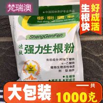 Fast Rooting Powder Plant Universal Strong Seedling Agent Cuttage Bacteria Multimeat Flowers Rich And Expensive Bamboo Green Lori Nutrient Powder