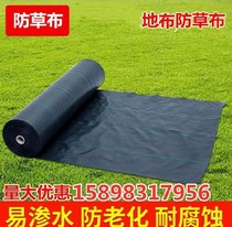 Cover cloth roof anti-grass green tea tree weeding single field weeding cloth moisturizing orchard fruit tree cover