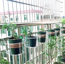 Multi-function flower shelf balcony canopy green garden window sill flower pot stand wall hanging greenhouse wall type