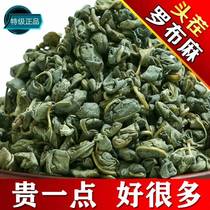 Xinjiang apocynout tea origin Lop Nur specialty official flagship store selection special special wild sprouts health tea