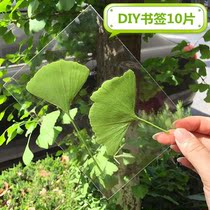 Specimen making material as specimen film leaf transparent film Photo plastic seal bookmarks plastic film waterproof protection card DIY