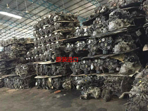 Nissan Junyi MR18 Qijun QG25 Teana Sunshine 2 0 2 3 2 5 displacement hand automatic transmission gearbox