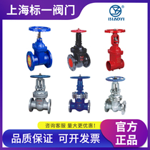 Shanghai Biaoyi valve soft seal gate valve bright and dark rod tap water fire fighting stainless steel cast steel flange gate valve double constant
