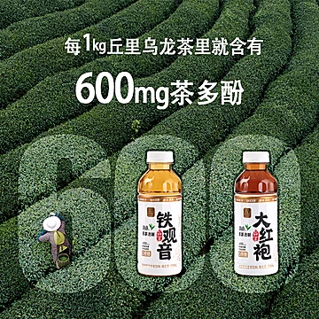 丘里大红袍乌龙茶500mlx6瓶[10元优惠券]-寻折猪