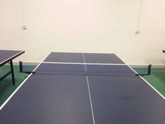 Factory direct supply standard indoor table tennis table panel for competition and training special table tennis table panel
Factory direct supply standard indoor table tennis table panel for competition and training special table tennis table panel