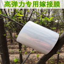 Small roll stretch film winding film wire film take-out coating plastic wrap film Self-adhesive fruit tree grafting Film Daily packaging