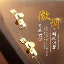 Golden Dichu Fine Tuning Gold Plated Color Fine Dichu Fine Tuning Instrumental Tuning Recommendation Professional Fine Tuning 1 Pay 2 only