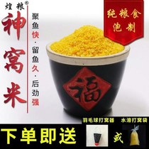 Nest Stock 3 Catty 9 9 Musk Wine Mi Crucian Carp Nest For Wild Fishing Black Pit Lake Bank of Nest Rice Fish Bait