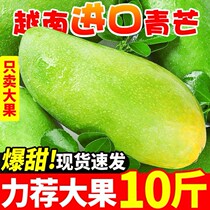 Vietnam imported jade mango 10 pounds of fresh fruit is now picking the whole box of the seasons large green mango sweetheart mango