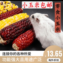 Harden grain staple food mini corn barn guinea pig dragon cat hedgehog rabbit gold bear grinding teeth snack food