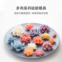Manyue DIY fragrance expanded fragrant plaster multi-meat potted silicone mold aromatherapy candle Cup decoration mold