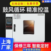 Electric heat constant temperature blower small oven industrial laboratory dryer dryer aging test box headlight oven
