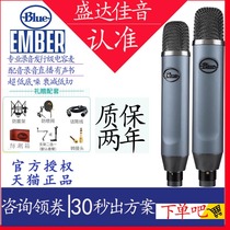 Blue Ember Professional Recording Audio Sound Cover Sound Card Kit for Live Microphone Microphone