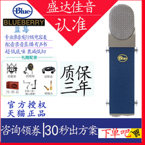 Blue Blueberry Blueberry Blueberry Capacitor Microphone Live Recording Microphone Full Set