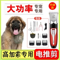 Caucasian Exclusive Dogs Shave Hair Dresser Pet Shop Electric Pushcut Electric Pushers High Power Professional Feet Hair Hairdresser
