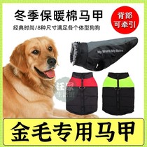 Golden retriever special dog cotton-padded clothes with traction back buckle waistcoat vest warm clothes bag belly windproof medium dog feet