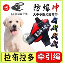 Labrador special dog chest strap vest outside leash adjustable small dog chain medium dog
