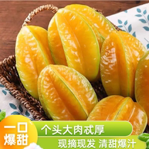 Sweet poplar fruit fresh fruit should season with juicy sweet spot and sweet pregnant woman ready-to-eat sour and sweet