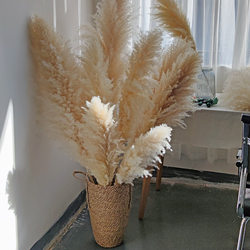 Natural reed grass dried flower bouquet floor-standing internet celebrity pampas grass big spike ins style light luxury home decoration living room furnishings
