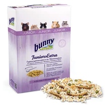 German bunny young mouse development treasure dwarf bear hamster gerbil flower branch mouse young mouse special 23 years September