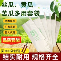 Bitter melon bag insect-proof long loofah cucumber bitter gourd special bag insect-proof bag melon vegetable and fruit special bag water