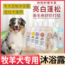 Shepherd Dog Exclusive Germicidal Beauty Hairy Dog Universal Bath Shampoo body Bath Lotion persistent perfumery de-mite deodorising supplies