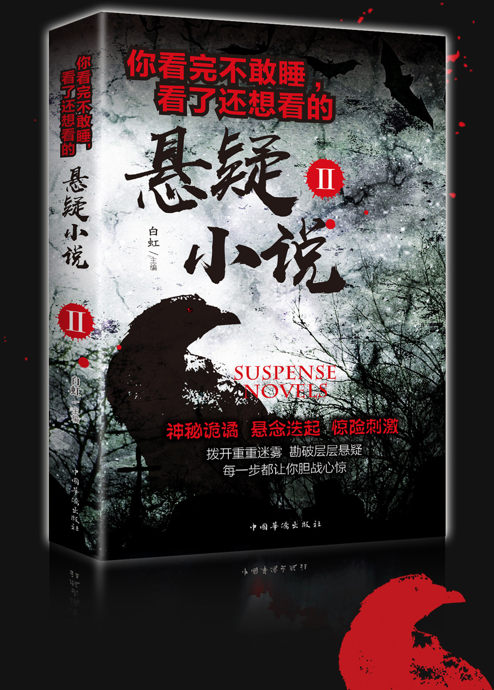 你看完不敢睡看了还想看的悬疑小说Ⅱ平装推理犯罪小说侦探推理书