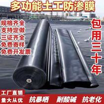 Fish Pond Waterproof Anti-Seepage Film Black Thickened Fish Pond Fish Pond Protective Slope Film root pool impermeable geomembrane whole roll