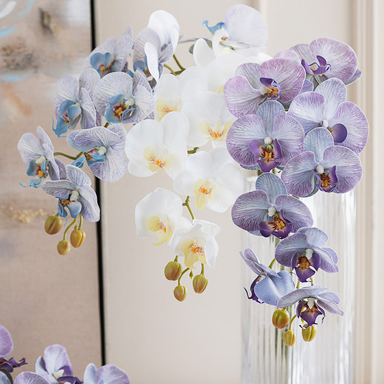 High-end feel PU Phalaenopsis simulated flower hotel front desk living room dining room decoration orchid TV cabinet desktop decoration
High-end feel PU Phalaenopsis simulated flower hotel front desk living room dining room decoration orchid TV cabinet desktop decoration