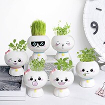 Long grass on the head potted long grass head doll small potted watering long grass plant doll small grass man is good to raise and cute