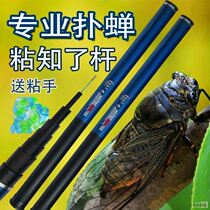 The Golden Cicada Catcher is glued to the pole the rod is retractable and the cicadas are known to catch the work and the catcher catches the job