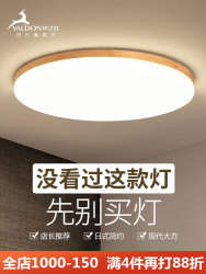 Nordic lamps, ceiling lamps, bedroom lamps.