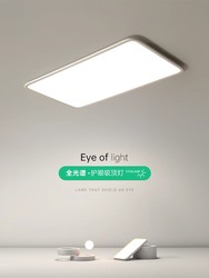 LED full spectrum living room ceiling lamp simple modern Guangdong Zhongshan lamp ultra-thin eye protection bedroom hall main light