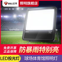 Bull Basketball Court Lighting Spotlight Special Outdoor Waterproof 100 W Outdoor Square 200w Indoor Led Spotlight