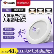 Bull induction tube lamp embedded infrared human induction intelligent home with switch tunnels