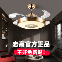 Shi Gao's family with light and extravagant invisible fan lamps large wind chandelier chandelier lights static electric fan chandeliers