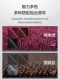 Changan glutinous 옥수수 루민 발 패드에 적합한 특수 자동차 용품 내부 장식 액세서리 TPE 바닥 매트 Changan glutinous 옥수수 루민 발 패드에 적합한 특수 자동차 용품 내부 장식 액세서리 TPE 바닥 매트