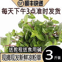 Cool Powder Grass Fresh Green Burning Fairy Ingredients Full Milk Tea Shop Special People Now Pick Up Original Dessert To Make Authentic Tofu Base