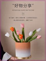 Tulip Turf Pearl Pot Personality with Pallet Household Green Orchid Green Plant Nordic Simple Ceramic Flower Pot