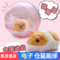 Shivering with the same style electric hamster running ball simulation of small hamster hookup ball turning and reaper children learn climbing toy presents
