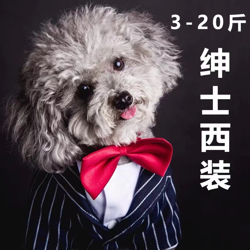 O1CN01vJDxIu1wgOgT0plFg_!!2212667176337.jpg