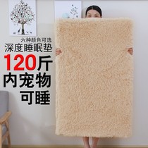 Net Red Dog Dens Fur Pet Mat Winter Warm Gold Gross Teddy Deep Sleep small mid sized canine supplies